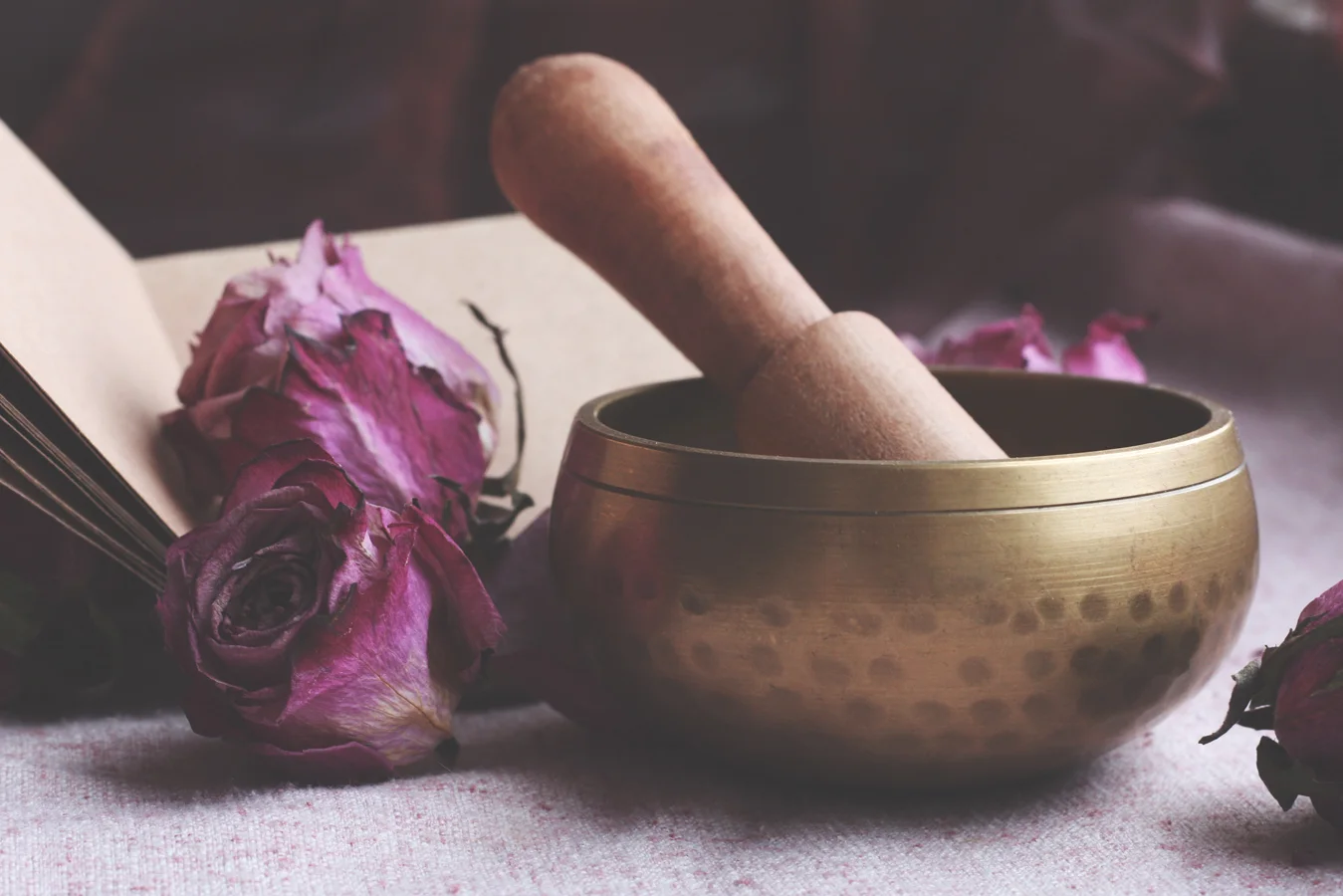 Vedic chanting-meditative sound